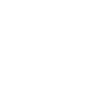 court-reporter-icon