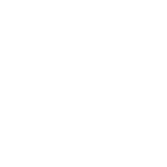 depo icon